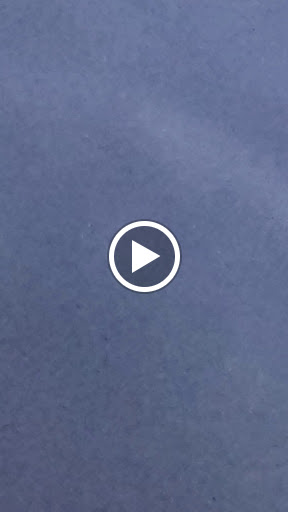 Festival «Pennsylvania Renaissance Faire», reviews and photos, 2775 Lebanon Rd, Manheim, PA 17545, USA