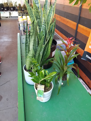 Home Improvement Store «The Home Depot», reviews and photos, 1625 S Mountain Ave, Monrovia, CA 91016, USA