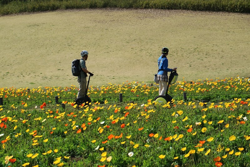 武蔵丘陵森林公園セグウェイツアー