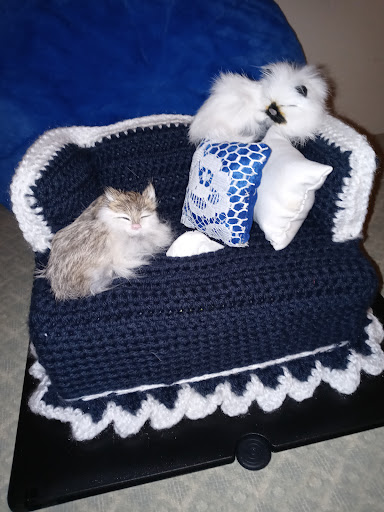 Florist «Oldsmar Florist», reviews and photos, 3906 Tampa Rd B, Oldsmar, FL 34677, USA