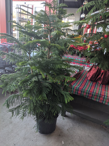 Produce Market «Southside Produce Co Inc», reviews and photos, 8240 Perkins Rd, Baton Rouge, LA 70810, USA