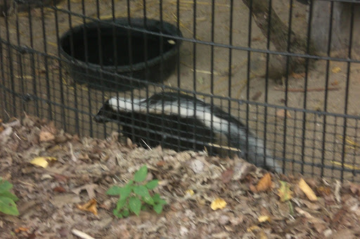 Nature Preserve «River Trail Nature Center», reviews and photos, 3120 Milwaukee Ave, Northbrook, IL 60062, USA