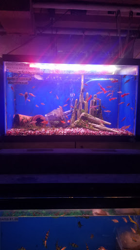 Tropical Fish Store «Midway Tropical Fish & Pets», reviews and photos, 24101 Pacific Hwy S, Kent, WA 98032, USA