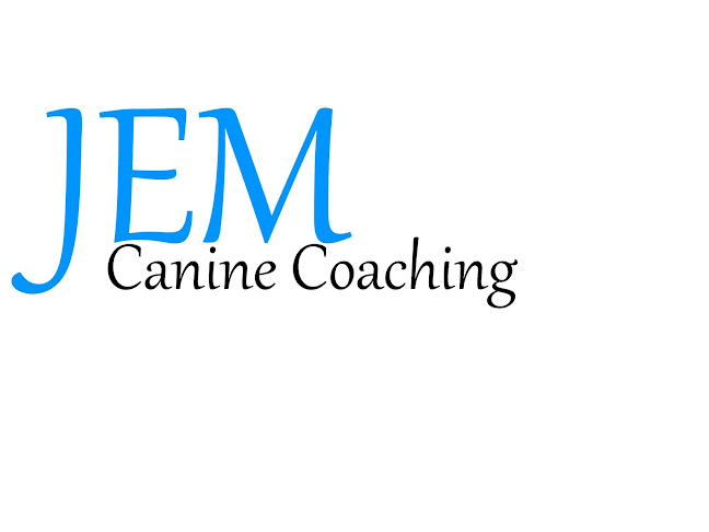 JEM Canine Coaching - Dog trainer