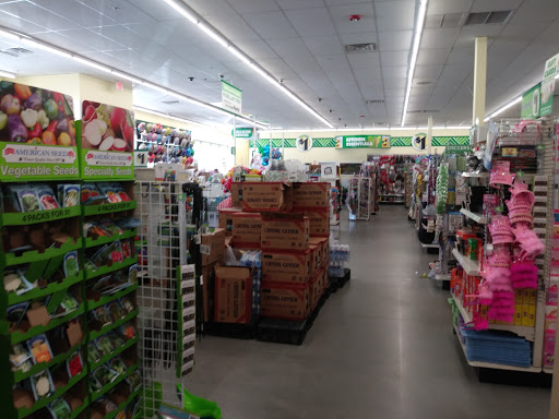 Dollar Store «Dollar Tree», reviews and photos, 383 Allen St, Springfield, MA 01118, USA