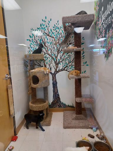 Pet Supply Store «Petco Animal Supplies», reviews and photos, 9078 SE Sunnyside Rd, Clackamas, OR 97015, USA