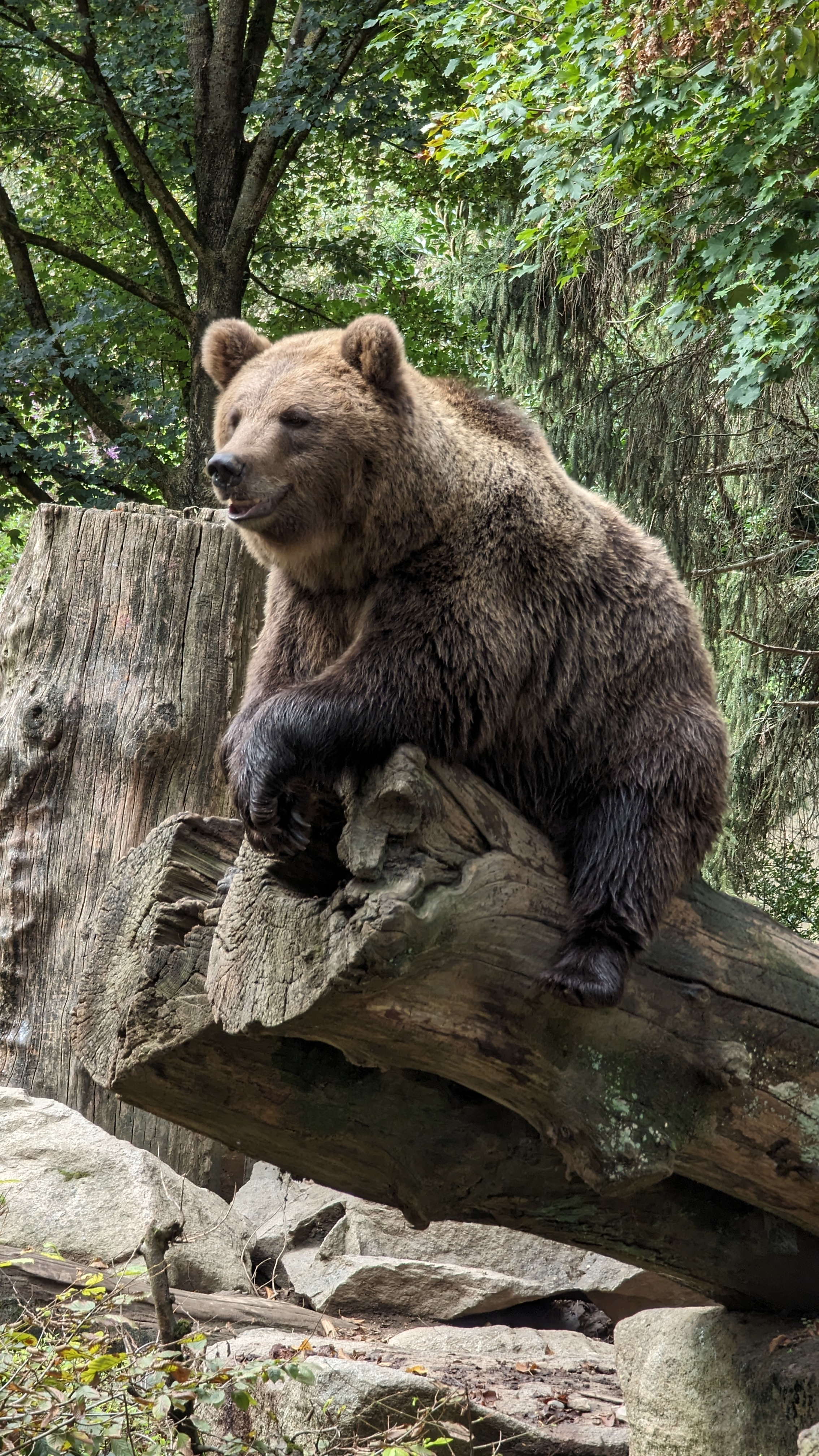 Photo n° 7 de l'avis de OruhaSue. fait le 29/09/2023 à 21:35