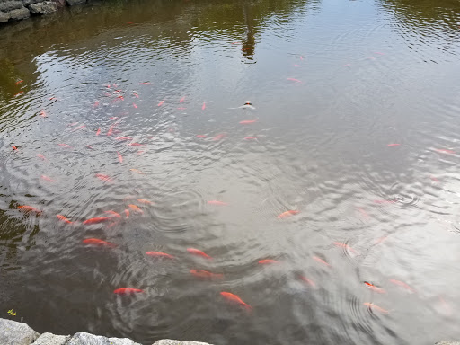 State Park «Wachusett Mountain State Reservation», reviews and photos, 345 Mountain Rd, Princeton, MA 01541, USA