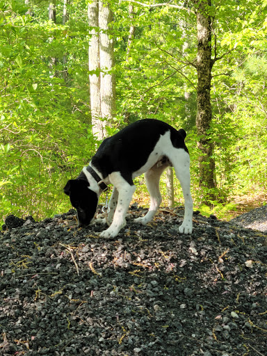 921 Victory Hwy, North Smithfield, RI 02896, USA