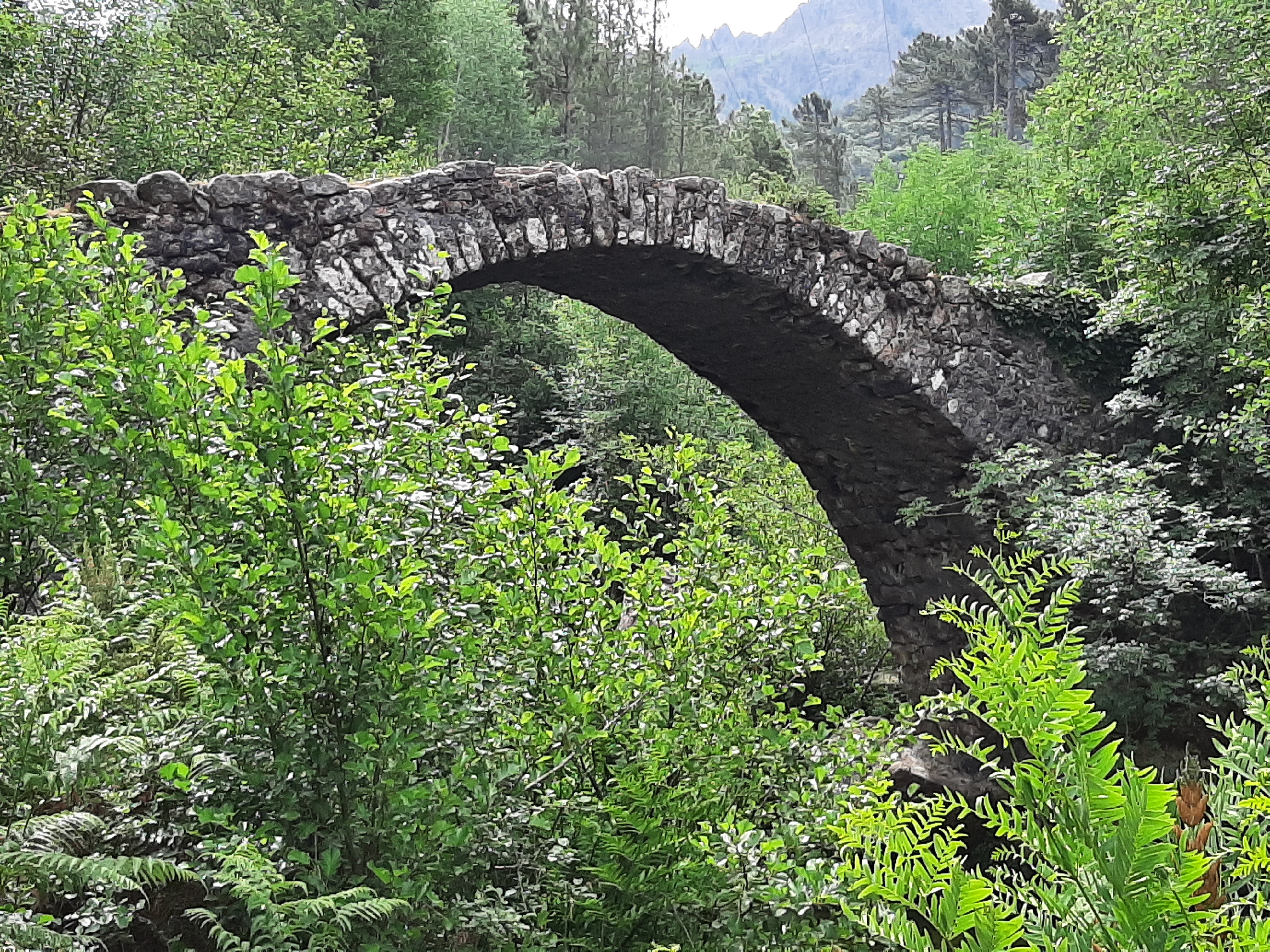 Photo n° 1 de l'avis de Louis.u fait le 07/06/2022 à 12:35