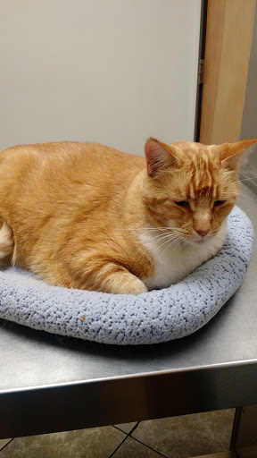 9231 Telegraph Rd, Pico Rivera, CA 90660, USA