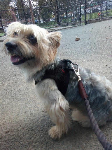 Park «Park Of The Americas», reviews and photos, 42nd Ave & 104th Street, Corona, NY 11368, USA