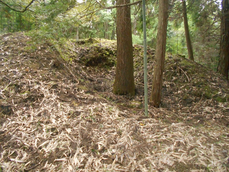 椎山1号墳