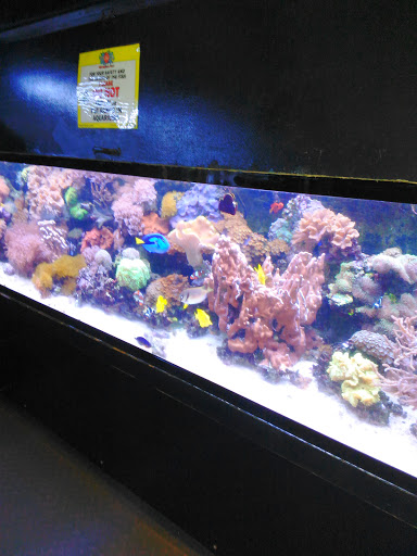 Pet Store «B & B Pet Stop, Inc.», reviews and photos, 5035 Cottage Hill Rd, Mobile, AL 36609, USA