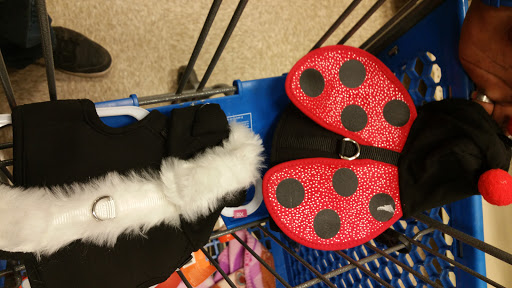 Pet Supply Store «PetSmart», reviews and photos, 5214 Blanche Moore Dr, Corpus Christi, TX 78411, USA