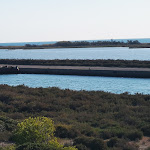 Photo n° 5 de l'avis de Sergio.o fait le 02/10/2023 à 15:24 pour Les Aresquiers à Vic-la-Gardiole