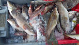Babord Tribord Beauvoir-sur-Mer