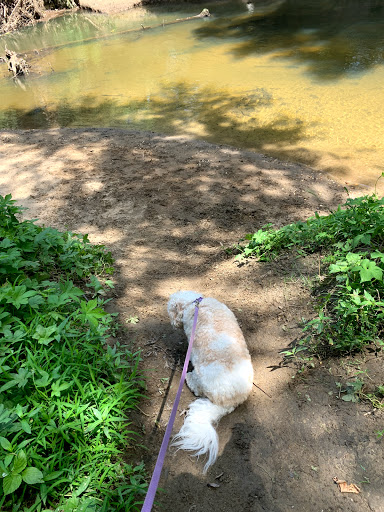 Nature Preserve «Woodend Sanctuary», reviews and photos, 8940 Jones Mill Rd, Chevy Chase, MD 20815, USA