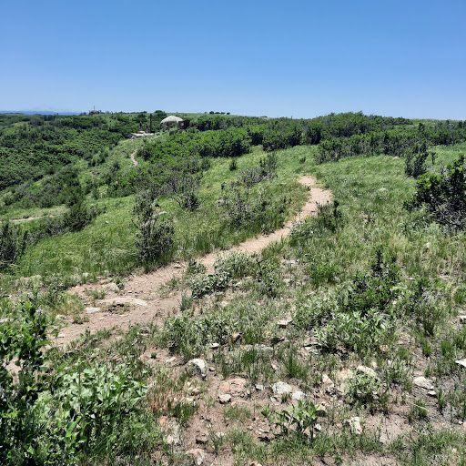 Recreation Center «Castle Rock Zip Line Tours», reviews and photos