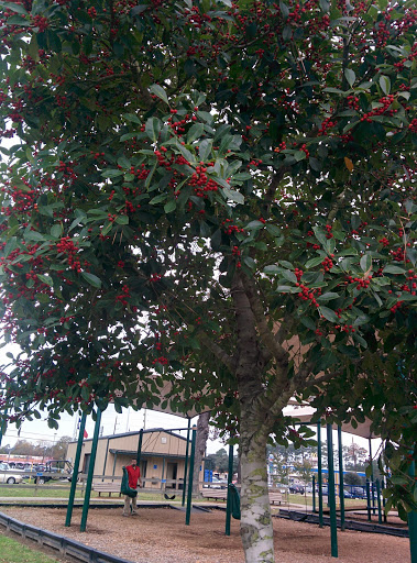 Park «Matzke Park», reviews and photos, 13110 Jones Rd, Houston, TX 77070, USA