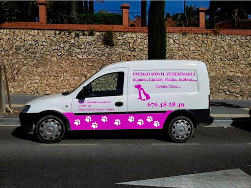 Clínica Veterinaria Mota en Mota del Cuervo, Cuenca