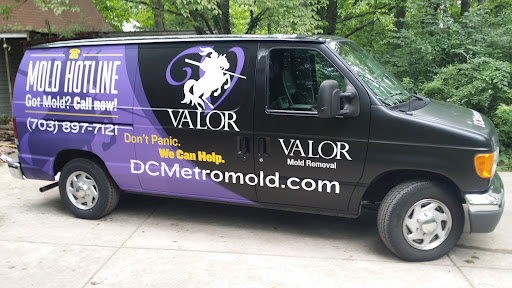 Valor Mold Removal