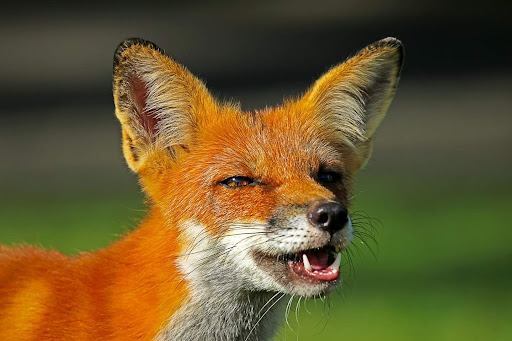 Golf Course «Overpeck Golf Course», reviews and photos, 273 E Cedar Ln, Teaneck, NJ 07666, USA