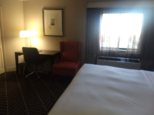 Hotel «Hilton Arlington», reviews and photos, 950 N Stafford St, Arlington, VA 22203, USA