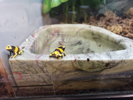 Pet Supply Store «Petco Animal Supplies», reviews and photos, 5631 Grove Blvd, Hoover, AL 35226, USA