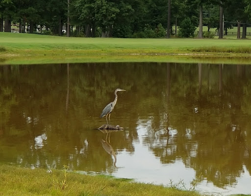 Golf Course «The Hollows Golf Club», reviews and photos, 14501 Greenwood Church Rd, Montpelier, VA 23192, USA