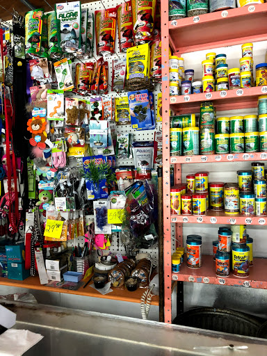 Pet Store «J & J Pet Shop», reviews and photos, 715 E Tremont Ave # 1, Bronx, NY 10457, USA