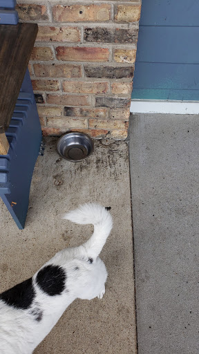 Coffee Shop «Dose Coffee & Tea», reviews and photos, 3431 Murphy Rd, Nashville, TN 37203, USA