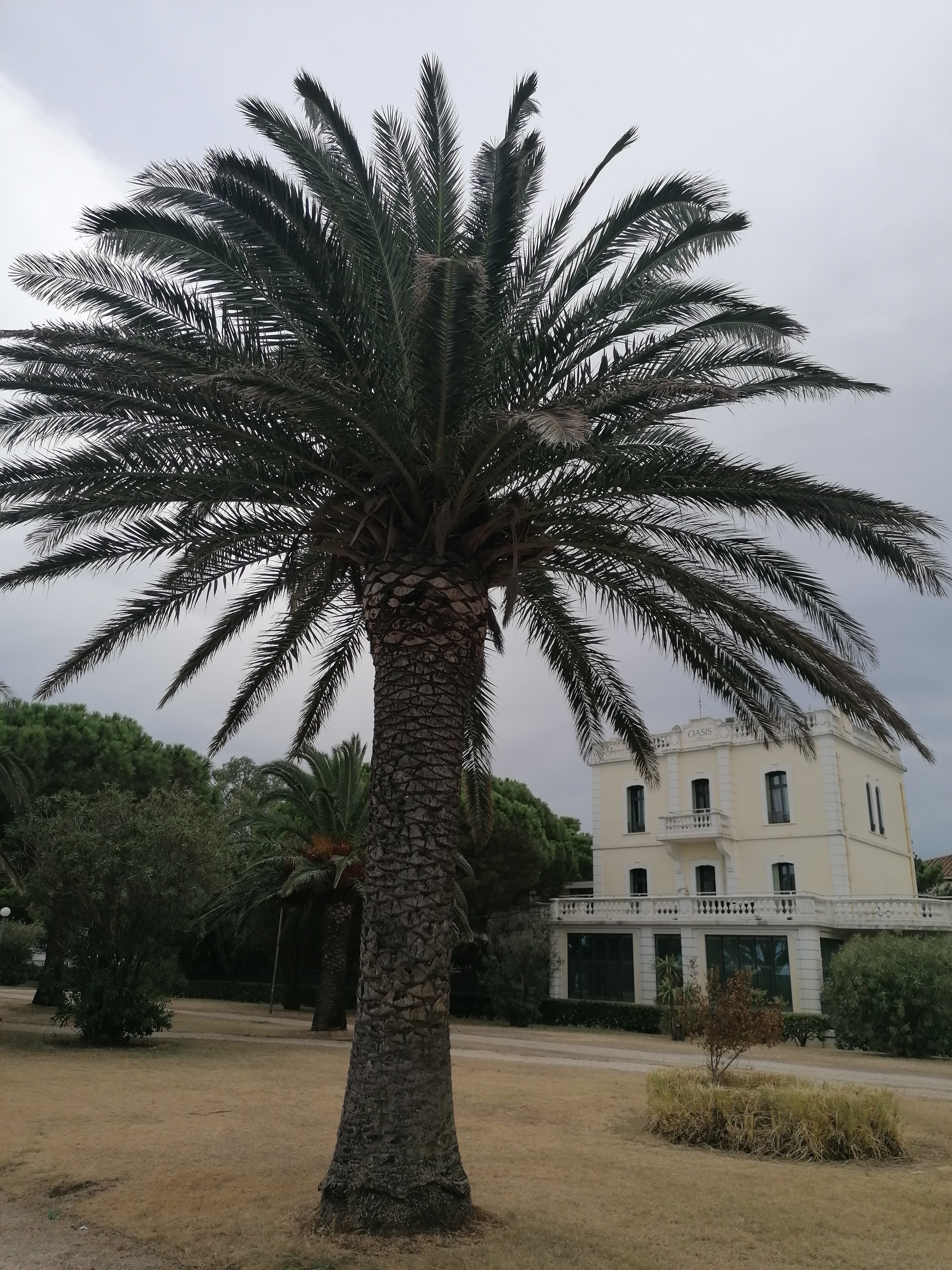 Photo n° 8 de l'avis de lionel.e fait le 05/09/2022 à 16:03