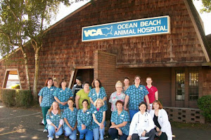 VCA Ocean Beach Animal Hospital