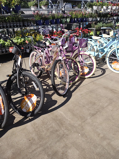 Department Store «Walmart Supercenter», reviews and photos, 233 Shoemaker Rd, Pottstown, PA 19464, USA