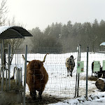 Photo n°1 de l'avis de Martin.l fait le 03/02/2018 à 14:02 sur le  Wildpark Hotel à Bad Marienberg