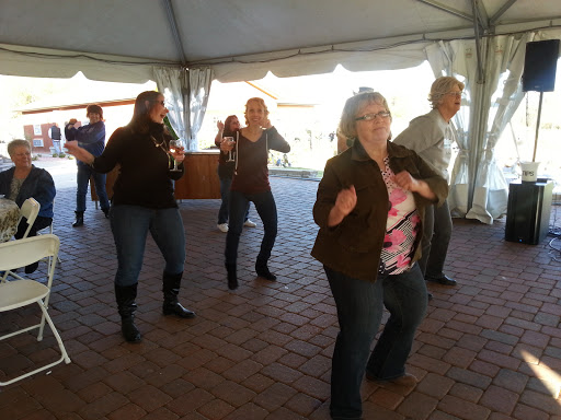 Winery «Villa Antonio Winery», reviews and photos, 3660 Linhorst Rd, Hillsboro, MO 63050, USA