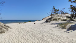 Foto di Mierzeja Sarbska Beach con costa lunga e dritta