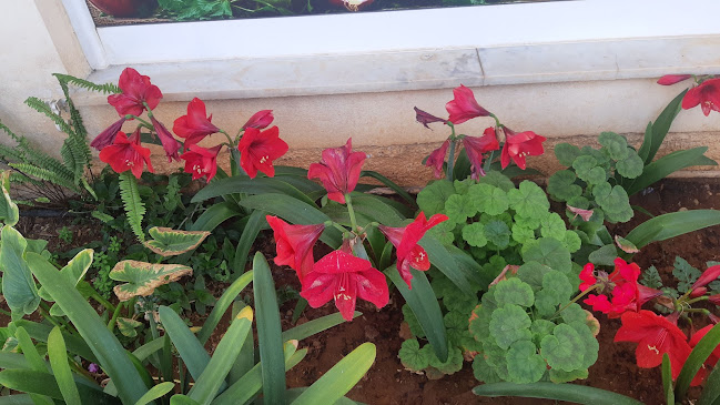 Opinii despre Γραμματικάκη Mini Market în Βόρεια Κυνουρία - Σούπερ μάρκετ