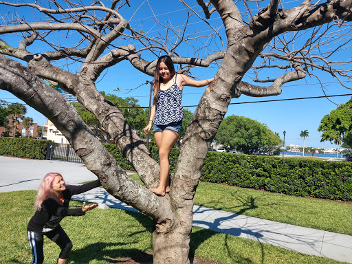 Art Museum «Norton Museum of Art», reviews and photos, 1451 S Olive Ave, West Palm Beach, FL 33401, USA