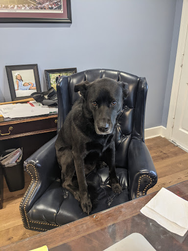 Insurance Agency «Chad Stalvey - State Farm Insurance Agent», reviews and photos