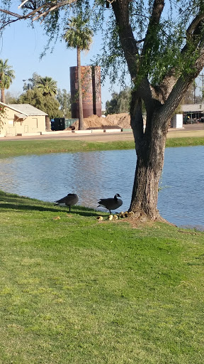 Golf Course «Palo Verde Golf Course», reviews and photos, 6215 N 15th Ave, Phoenix, AZ 85015, USA
