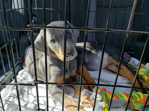 Discount Store «Dollar General», reviews and photos, 703 E 9th St, Lockport, IL 60441, USA