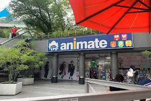 Animate Umeda image