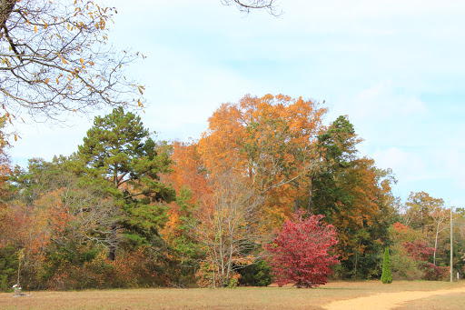 State Park «Parvin State Park», reviews and photos, 701 Almond Rd, Pittsgrove Township, NJ 08318, USA