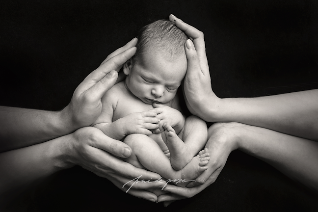 Comentarii opinii despre Pui de Poze | Sedinte foto nou nascuti, bebe, gravide si copii | Fotograf de familie in Bucuresti
