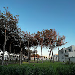 Photo n°3 de l'avis de Tommaso.a fait le 08/08/2023 à 11:18 sur le  Giulivo Hotel & Village à Baia Domizia