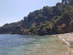 Zdjęcie Large Calanque beach z poziomem czystości dość czysty