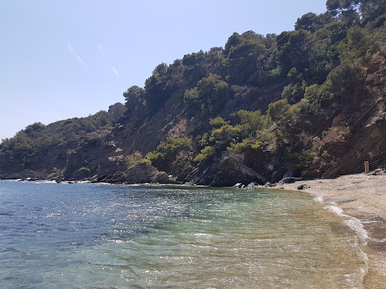 Large Calanque beach