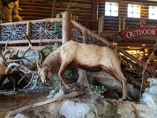 Sporting Goods Store «Bass Pro Shops», reviews and photos, 1935 S Campbell Ave, Springfield, MO 65807, USA